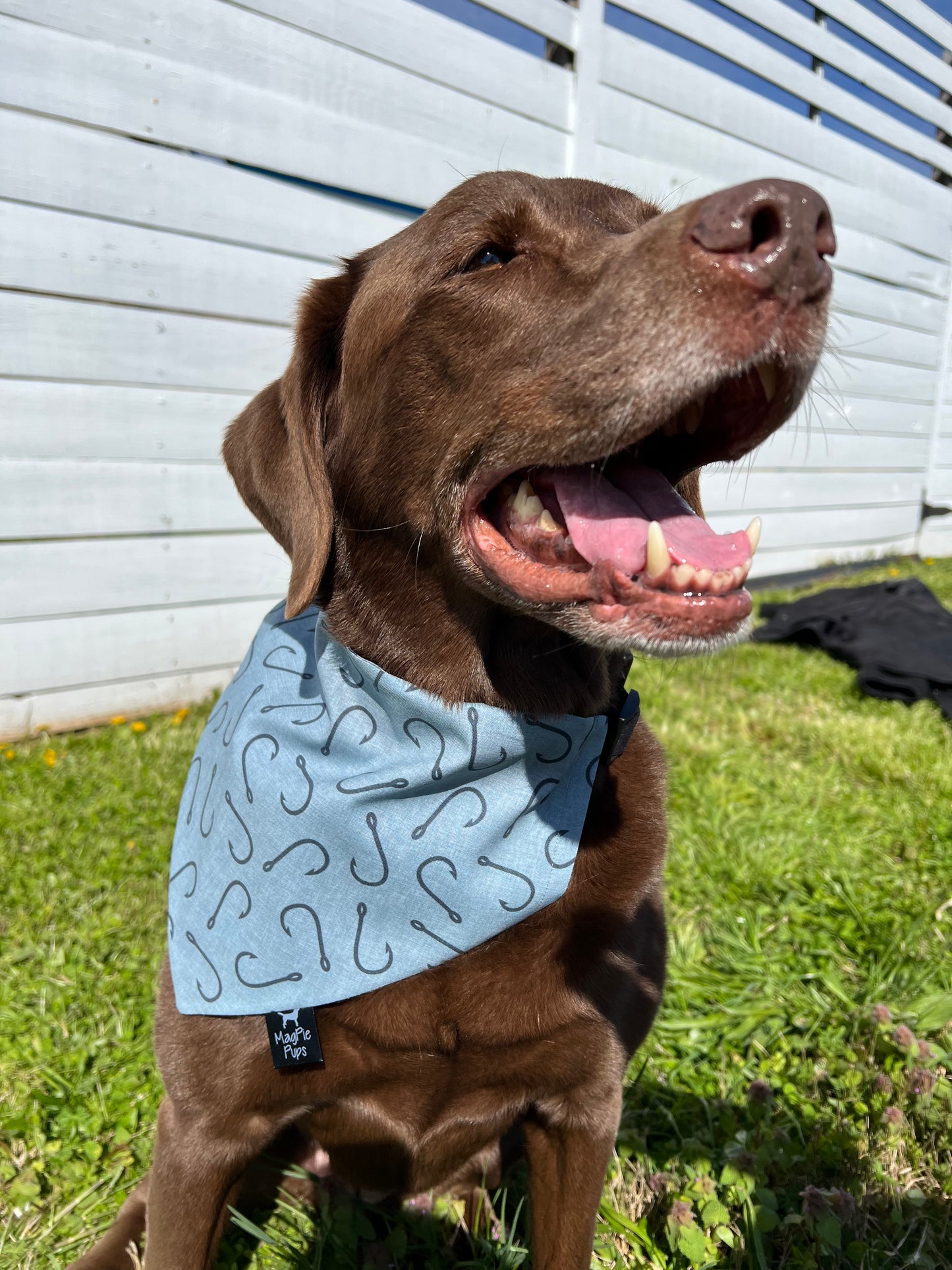 Blue Fish Hooks Bandana