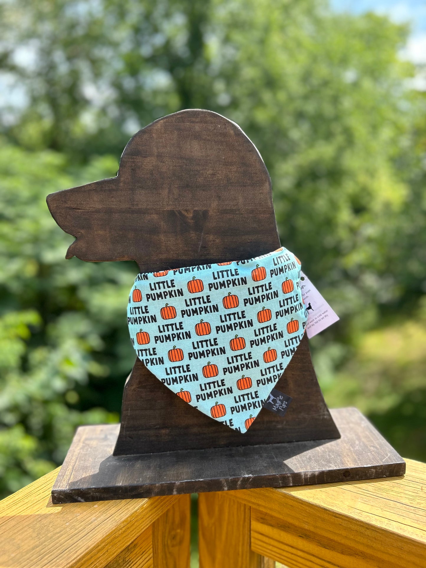 Little Pumpkin Blue Bandana