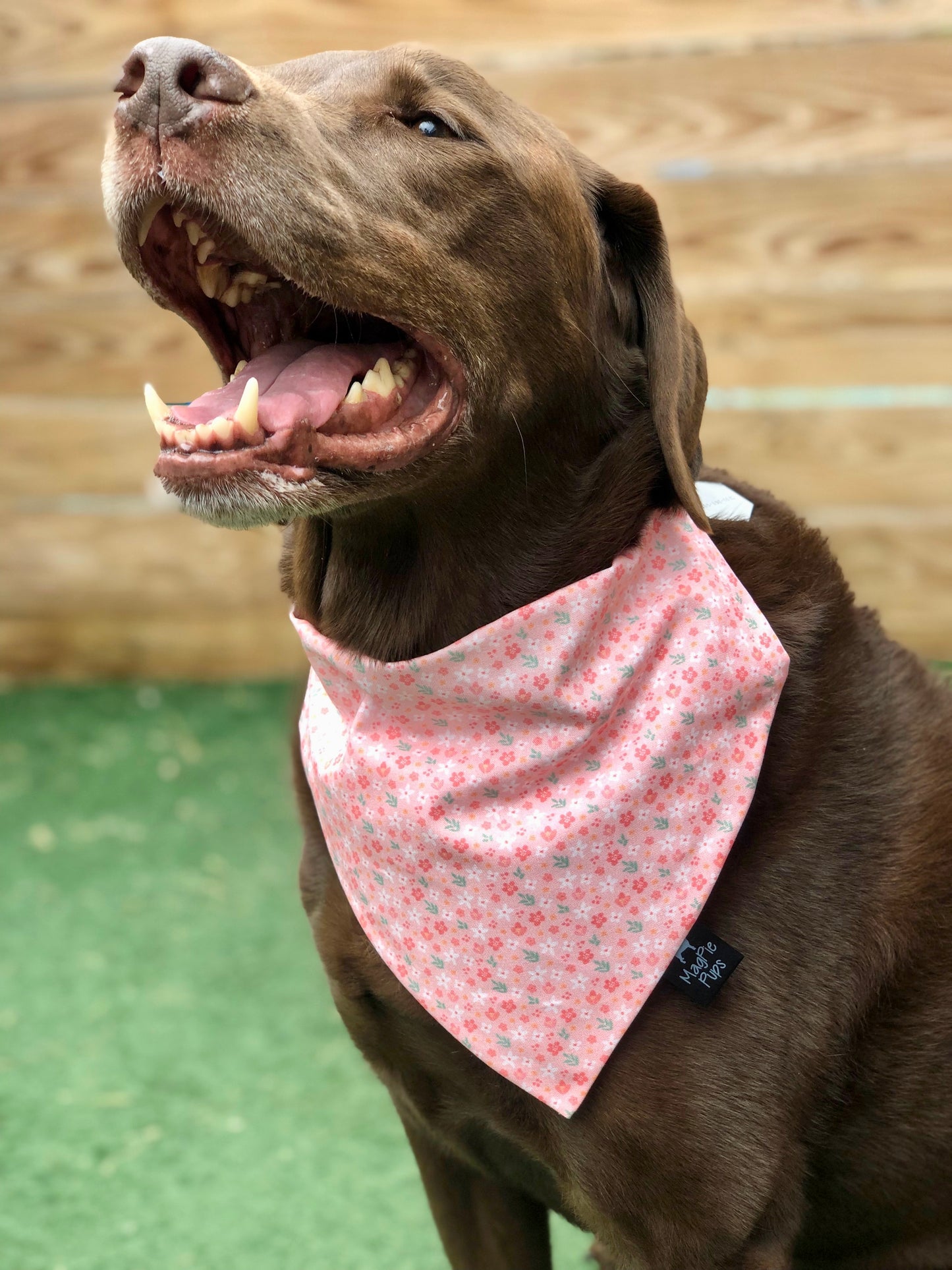 Blush Pink Floral Bandana
