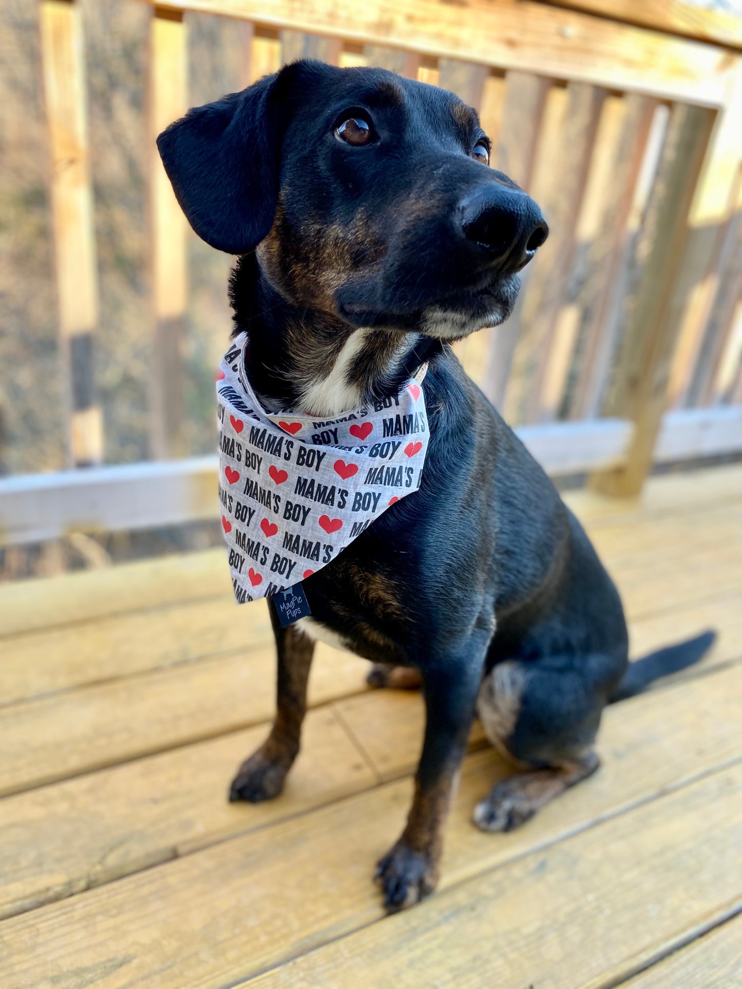 Mama's Boy Dog Bandana