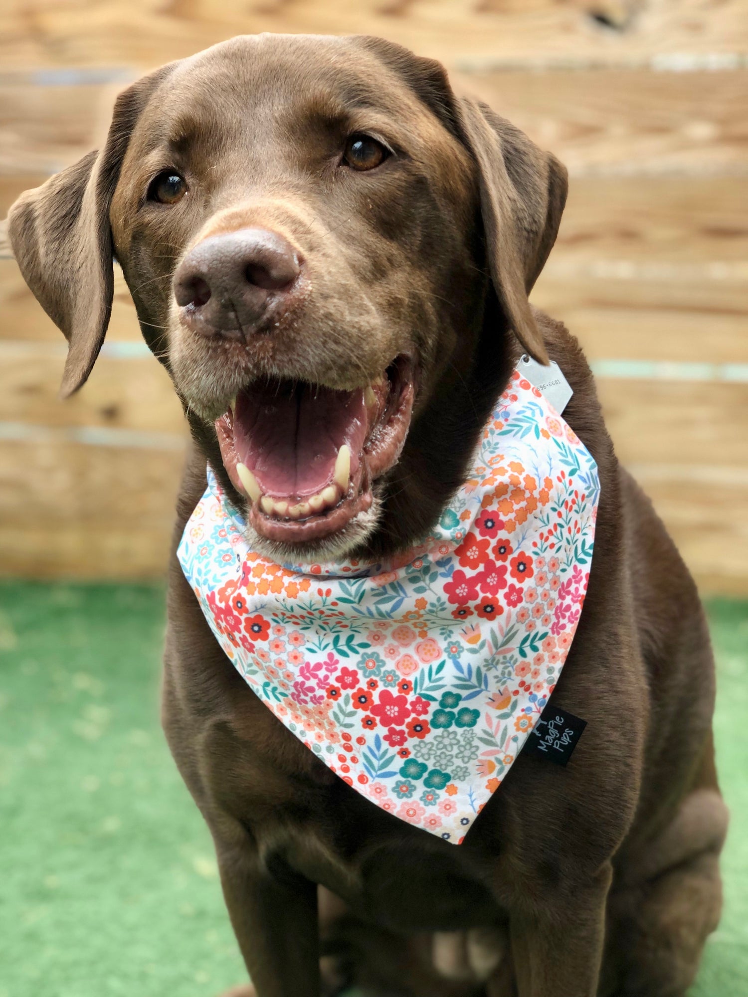 Spring Bandanas