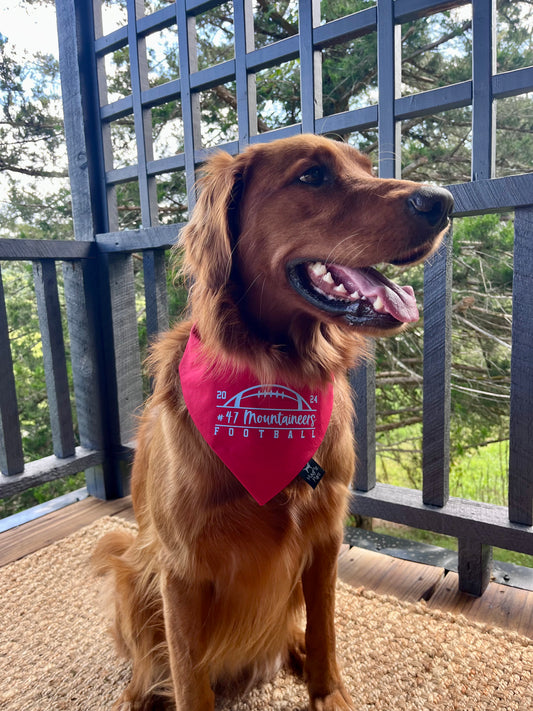 2024 Football Bandana