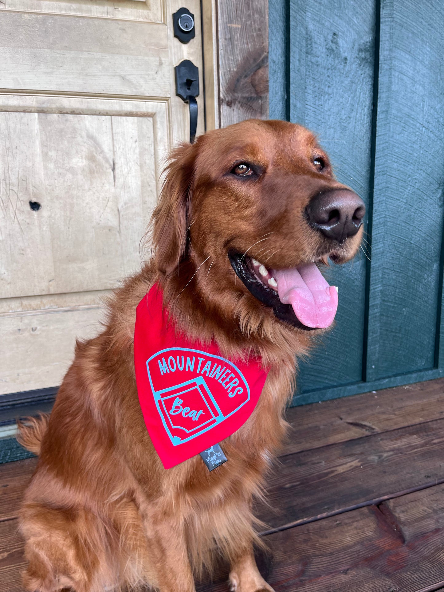 Heritage Baseball/Softball Bandana