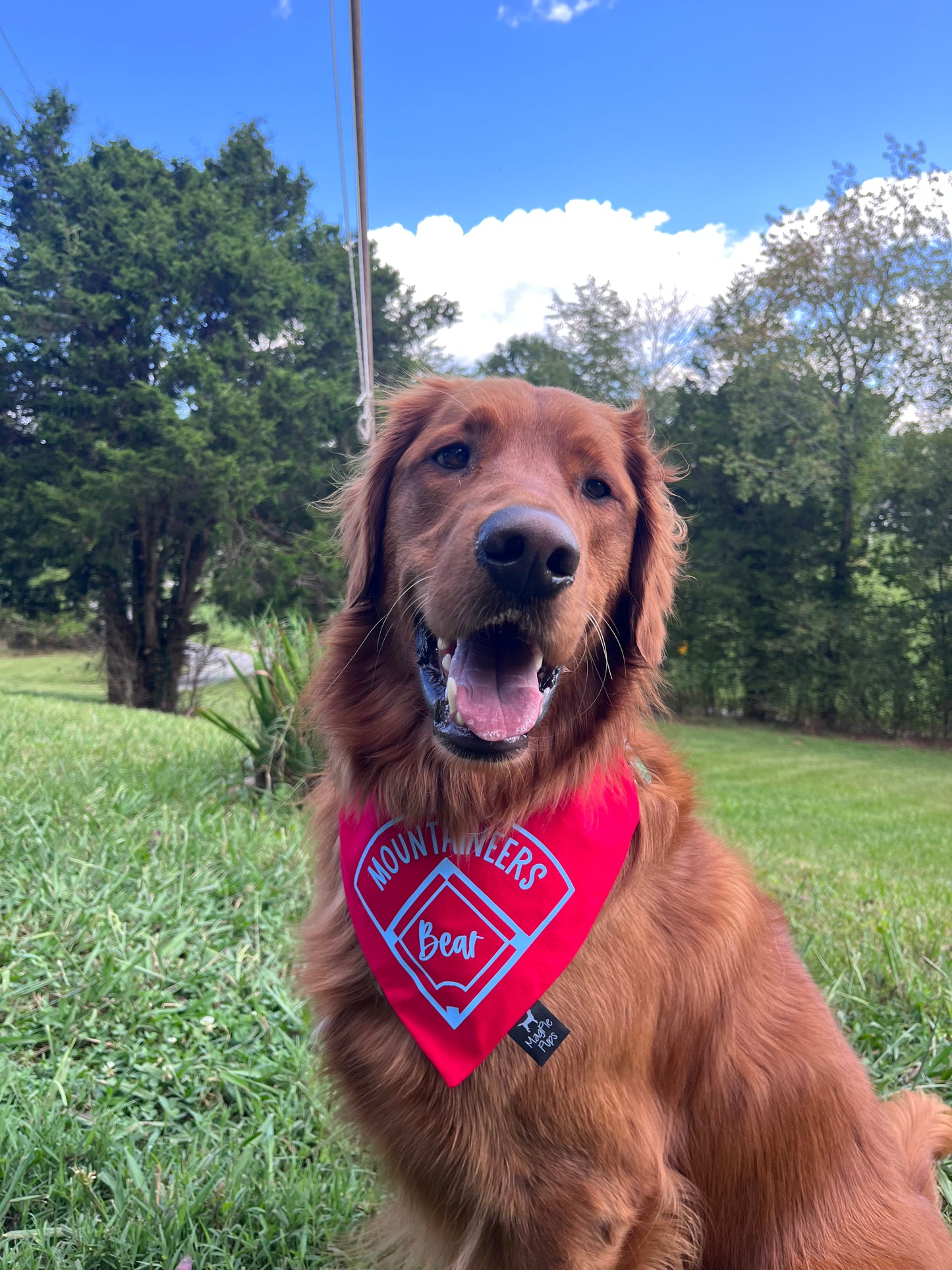 Heritage Baseball/Softball Bandana