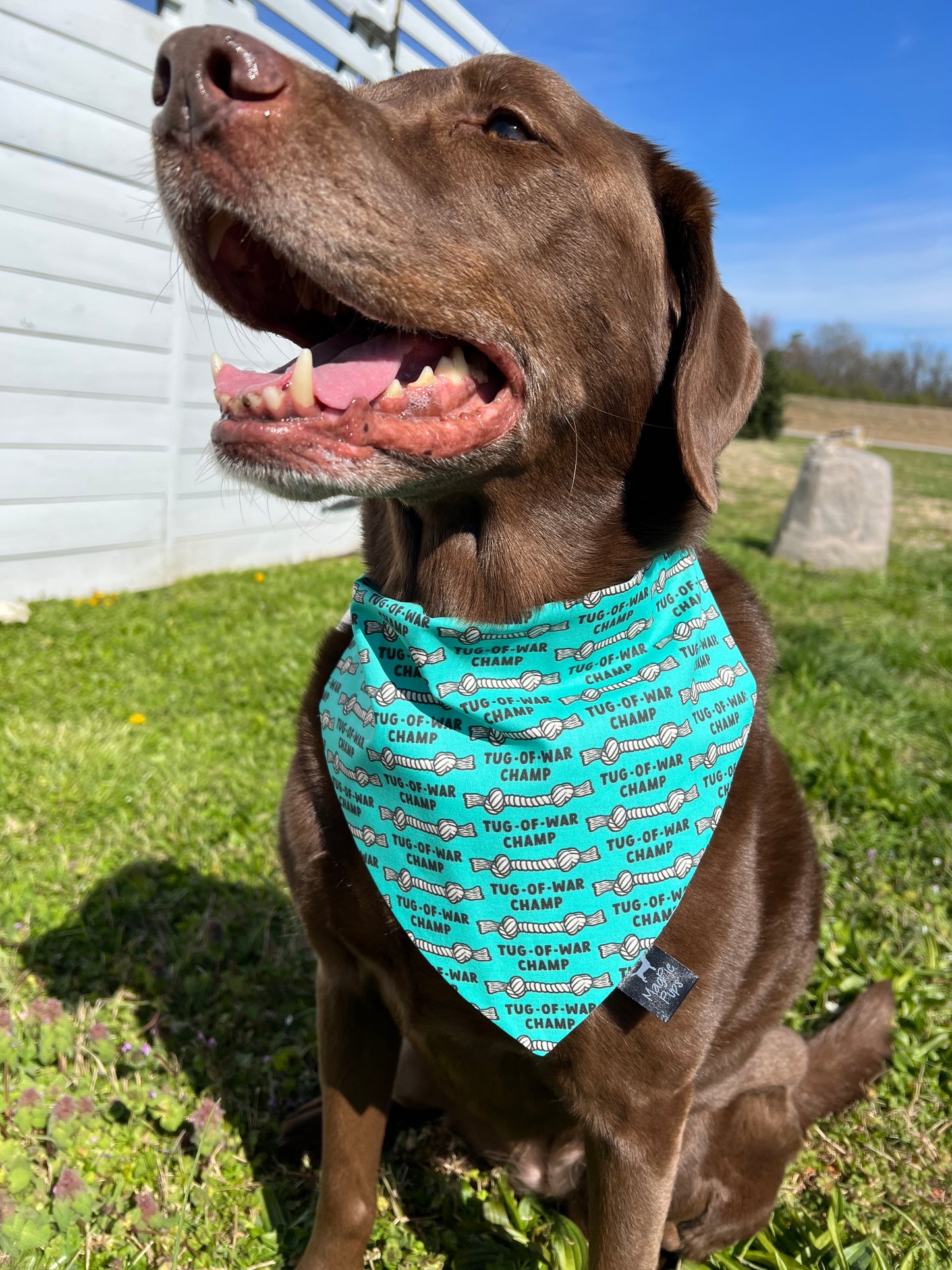 Tug-of-War Champ Bandana