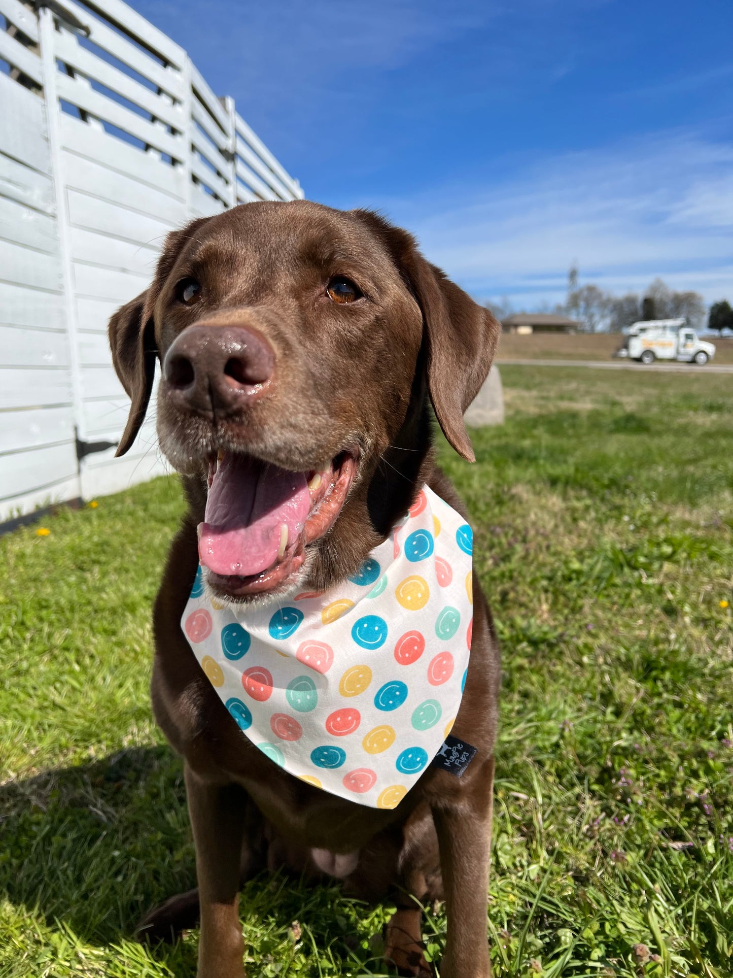 Classic Smiley Faces Bandana