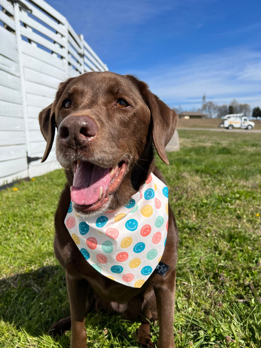 Classic Smiley Faces Bandana