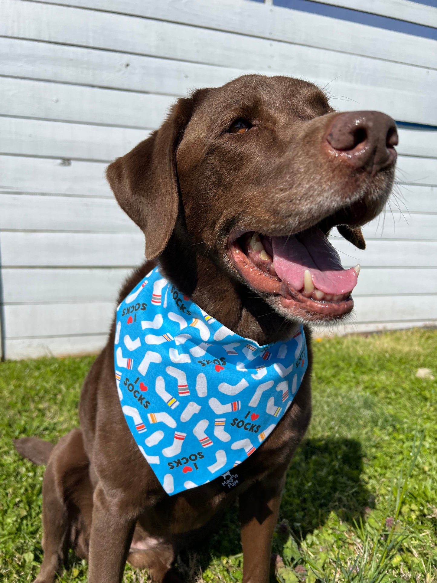 I Heart Socks Bandana