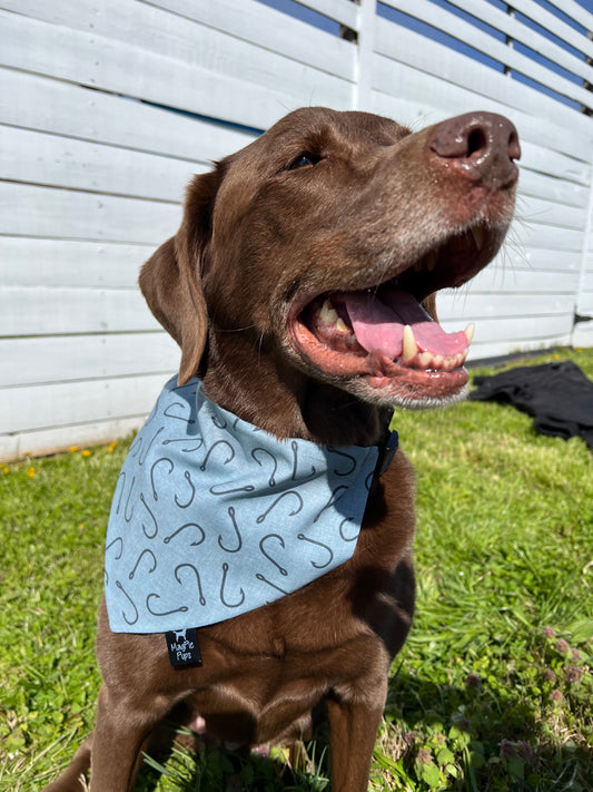 Blue Fish Hooks Bandana