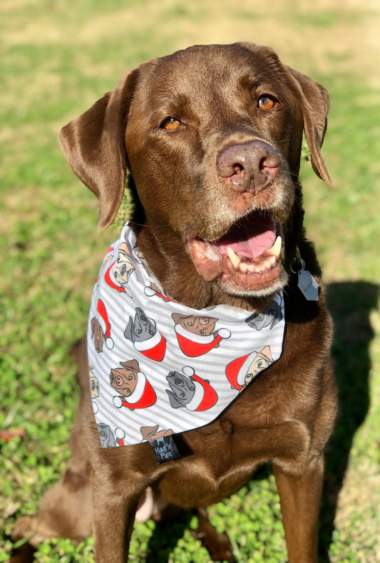 Labrador Christmas Bandana