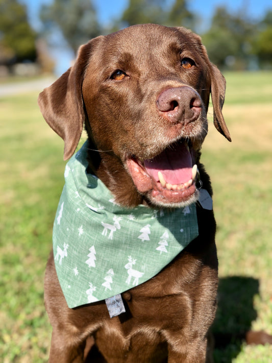 Sage Reindeer Bandana