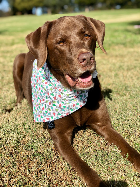 Bright Christmas Lights Dog Bandana