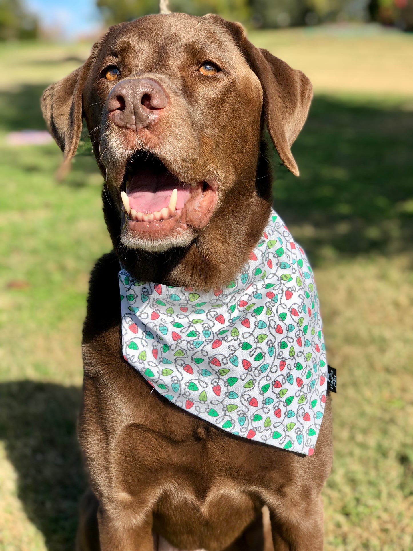 Bright Christmas Lights Dog Bandana