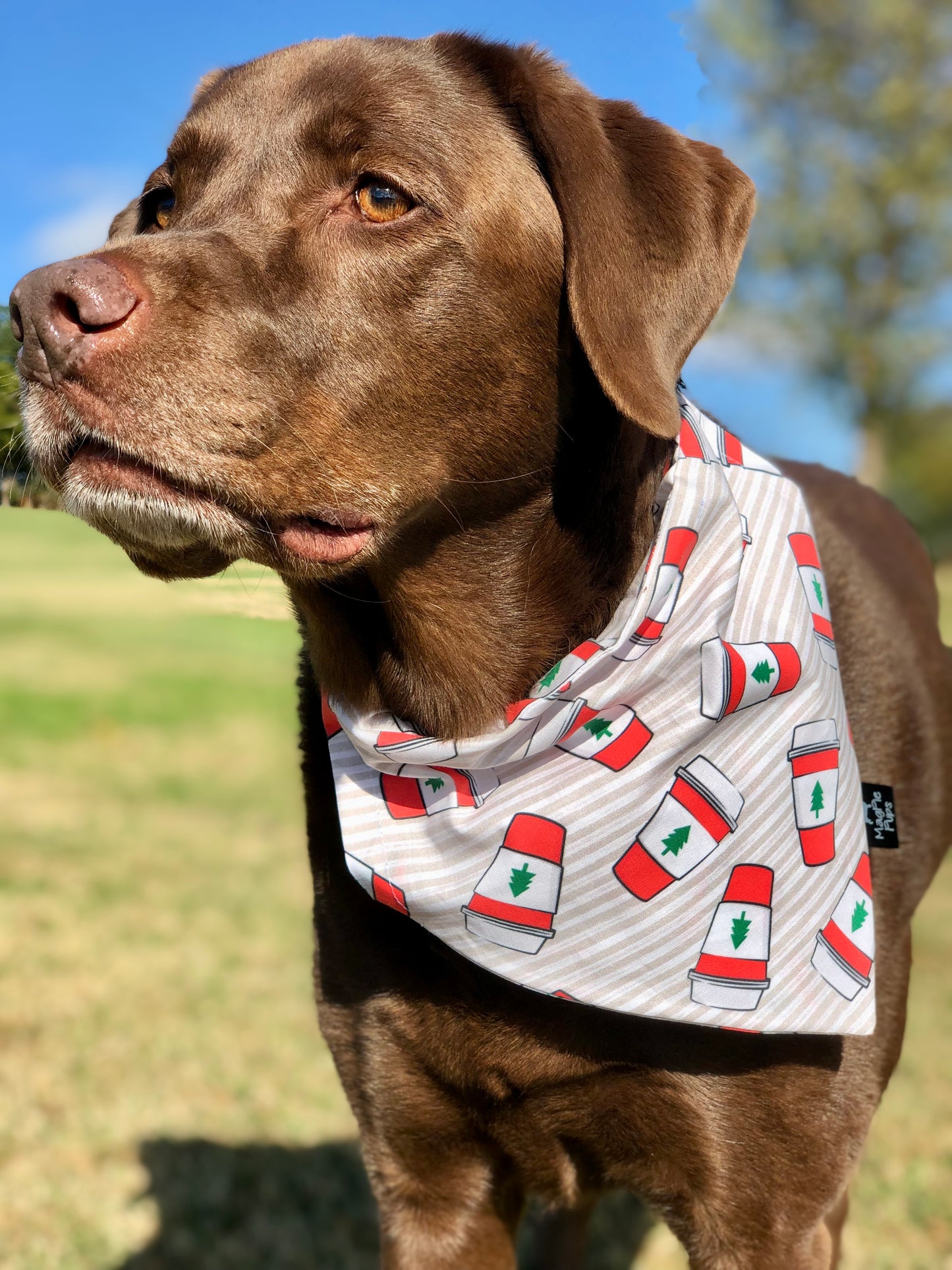 Christmas Coffee Cup Dog Bandana