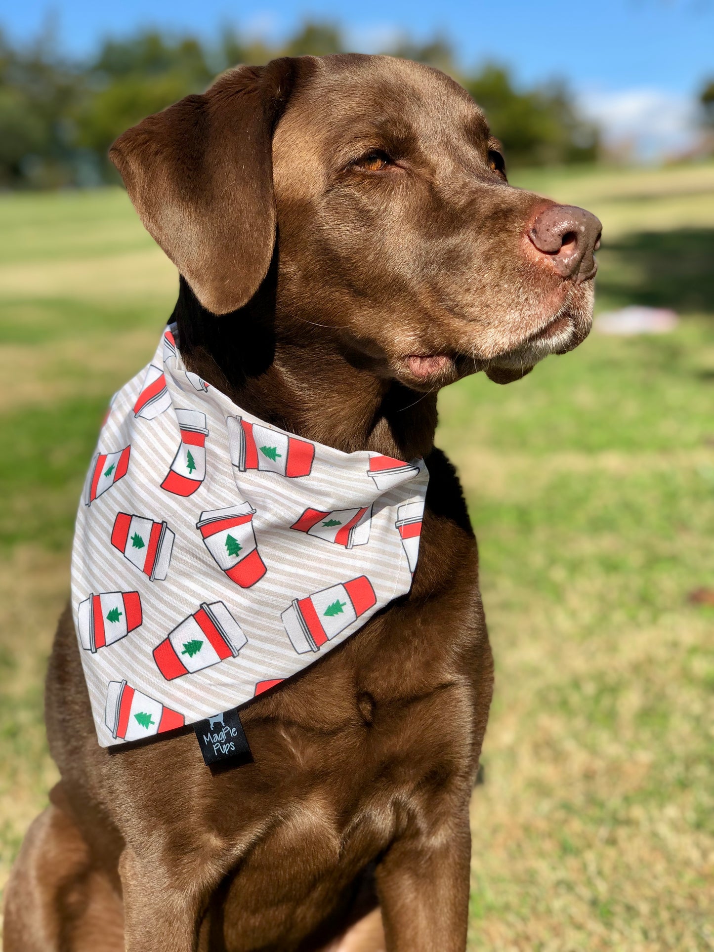 Christmas Coffee Cup Dog Bandana