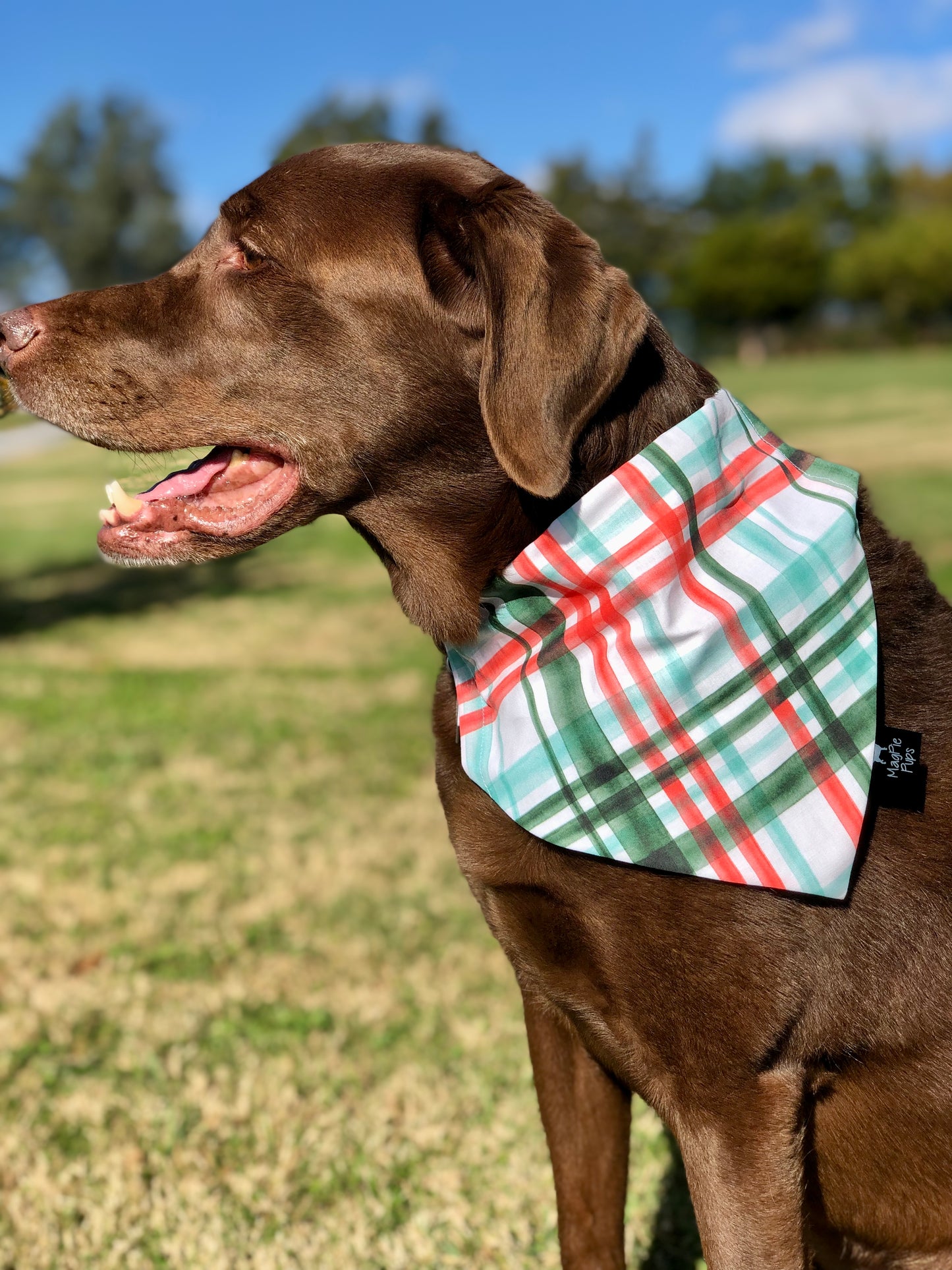 Mint Christmas Plaid Dog Bandana