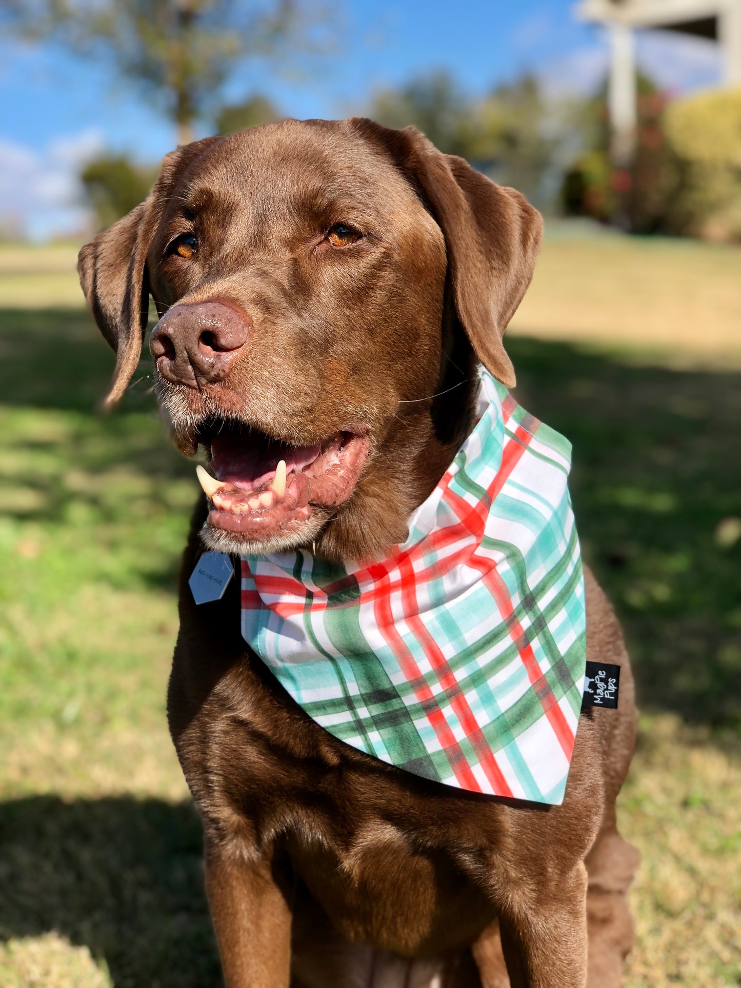 Mint Christmas Plaid Dog Bandana