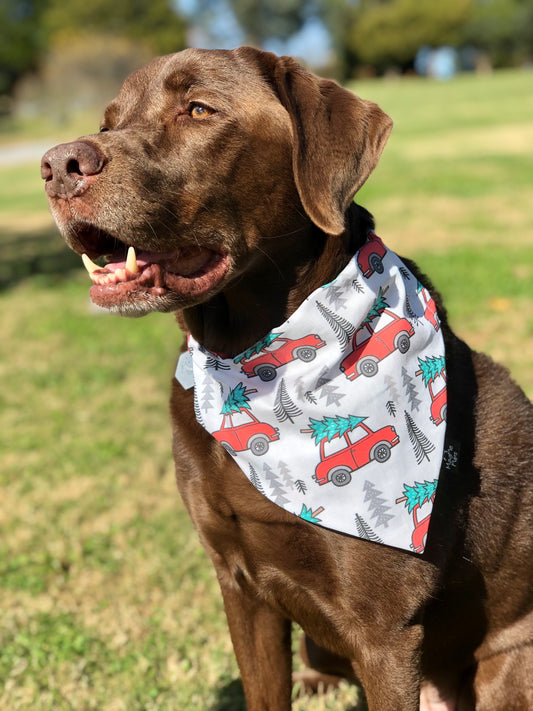 Christmas Vacation Dog Bandana