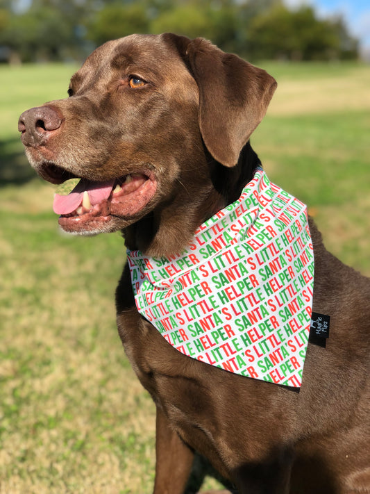 Santa's Little Helper Dog Bandana