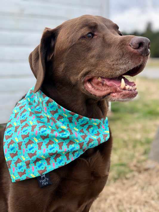 Chocolate Bunny Easter Bandana