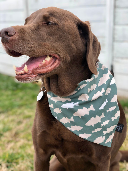 Gone Fishing Bandana