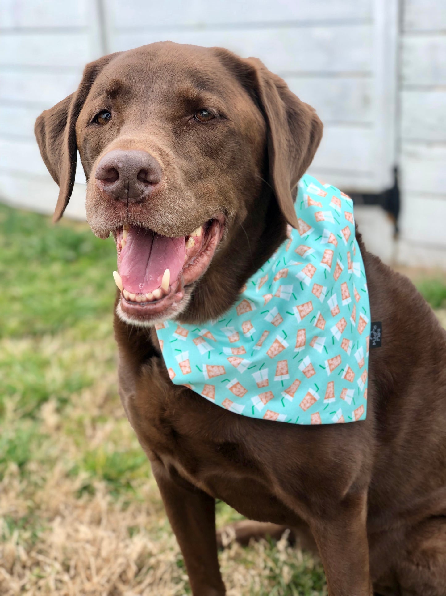 Iced Coffee Bandana