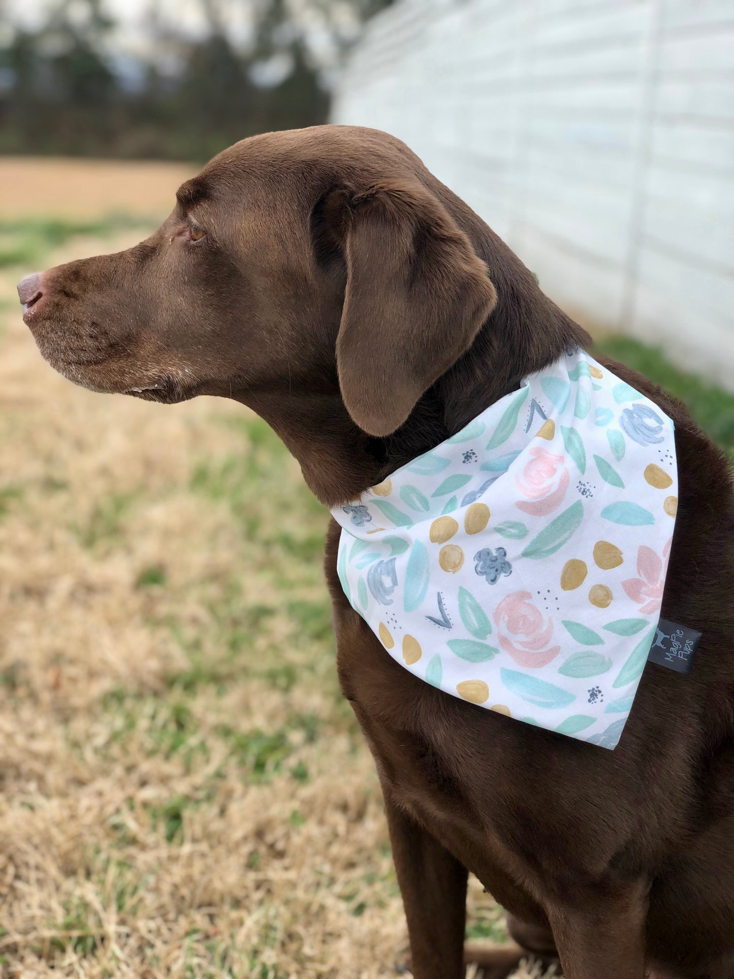 Pastel Floral Spring Bandana