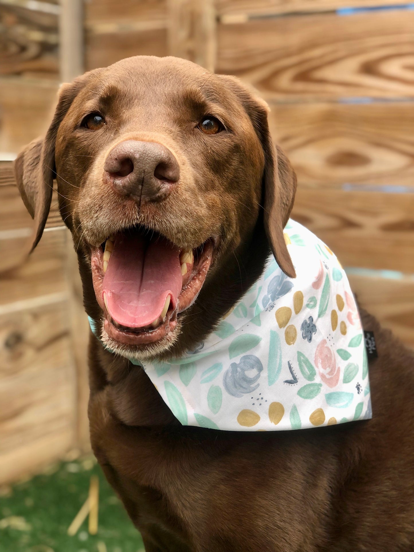 Pastel Floral Spring Bandana