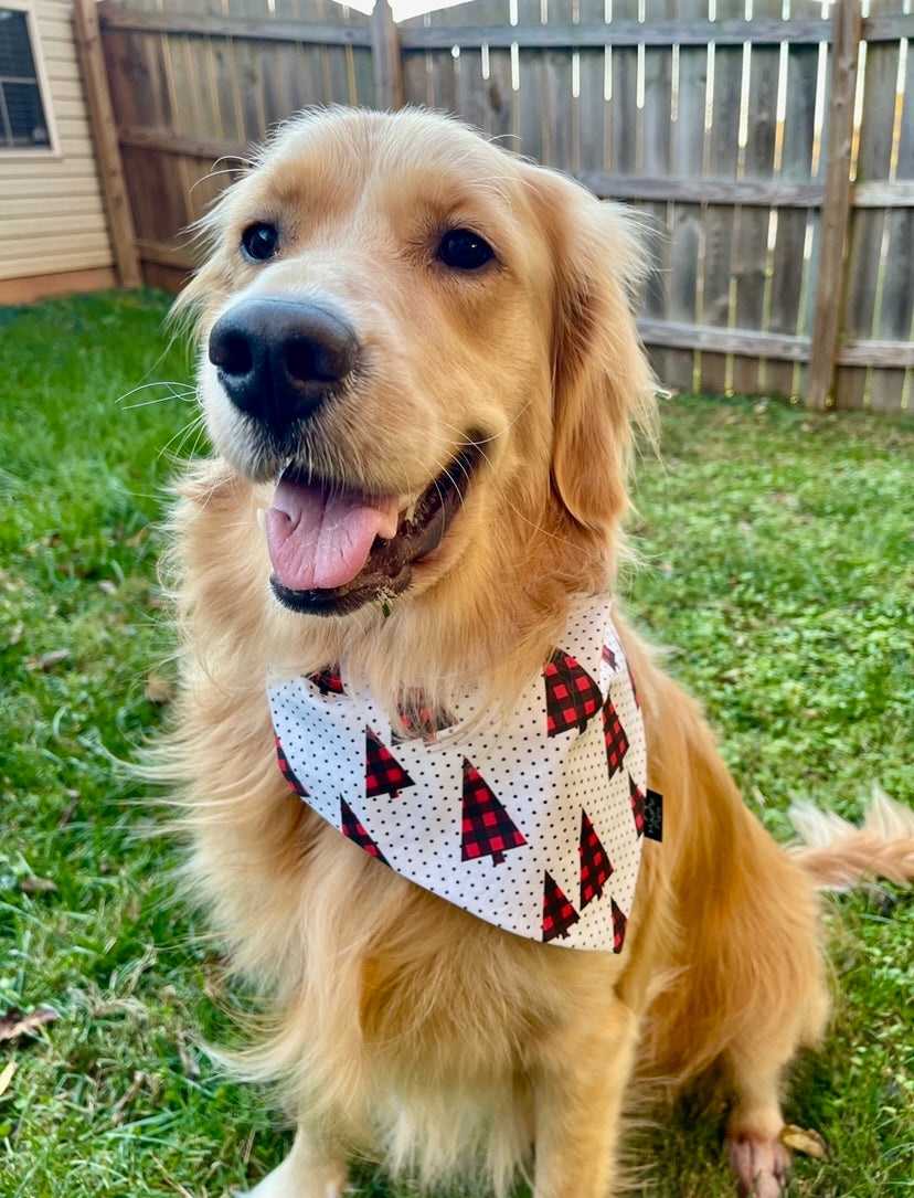 Buffalo Trees Dog Bandana