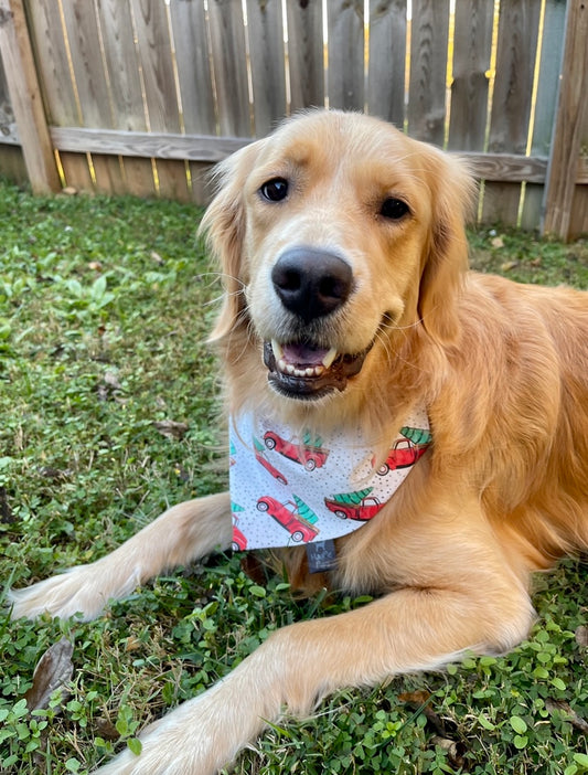 Christmas Tree Haul Dog Bandana