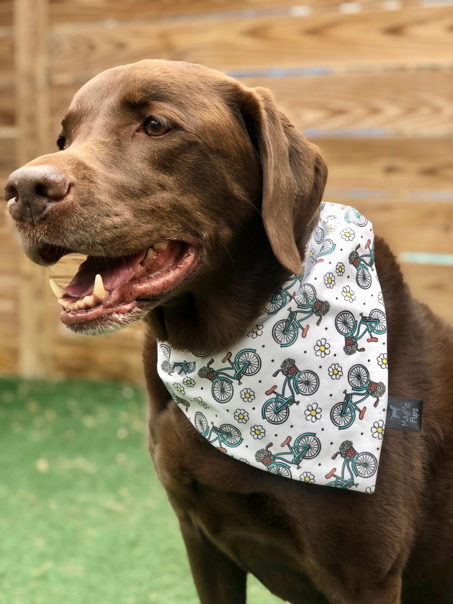 Bike Cruiser Bandana