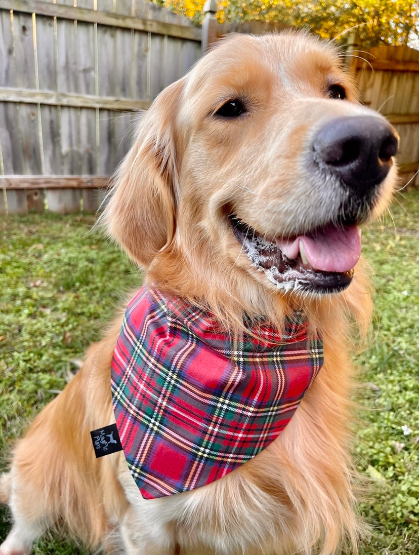 Holiday Cheer Plaid Dog Bandana