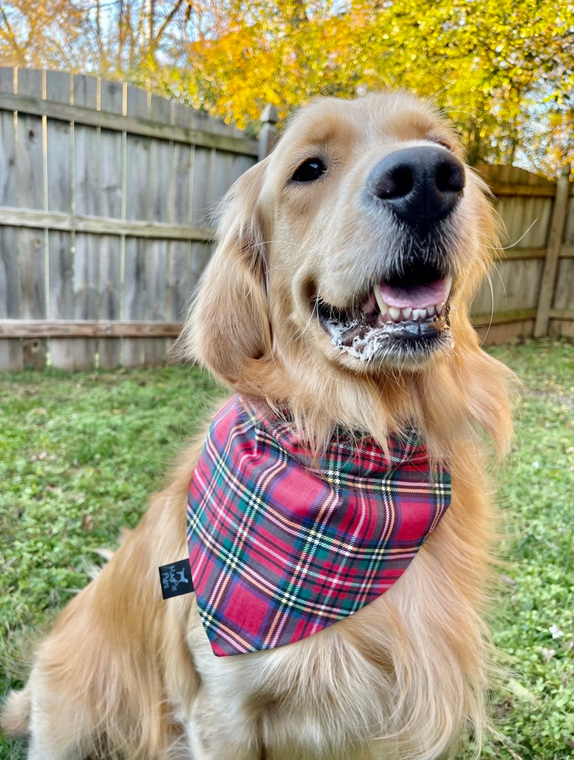 Holiday Cheer Plaid Dog Bandana