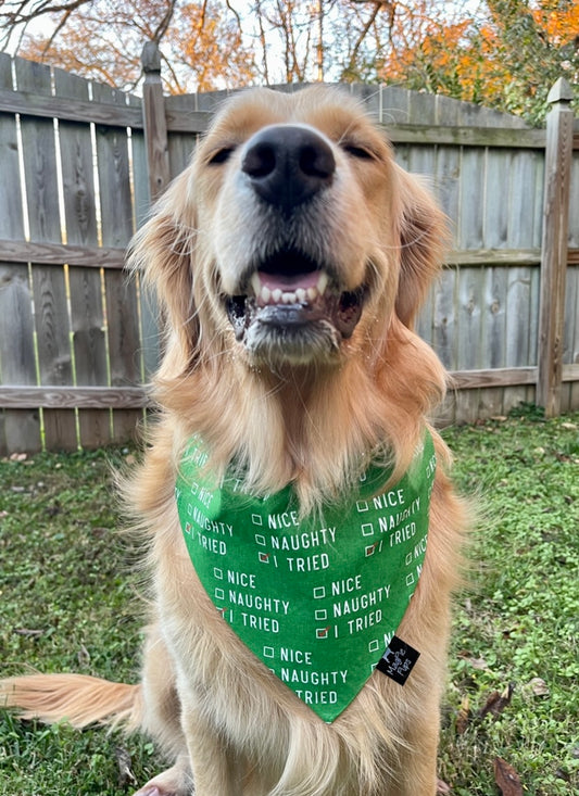 I Tried Christmas Dog Bandana