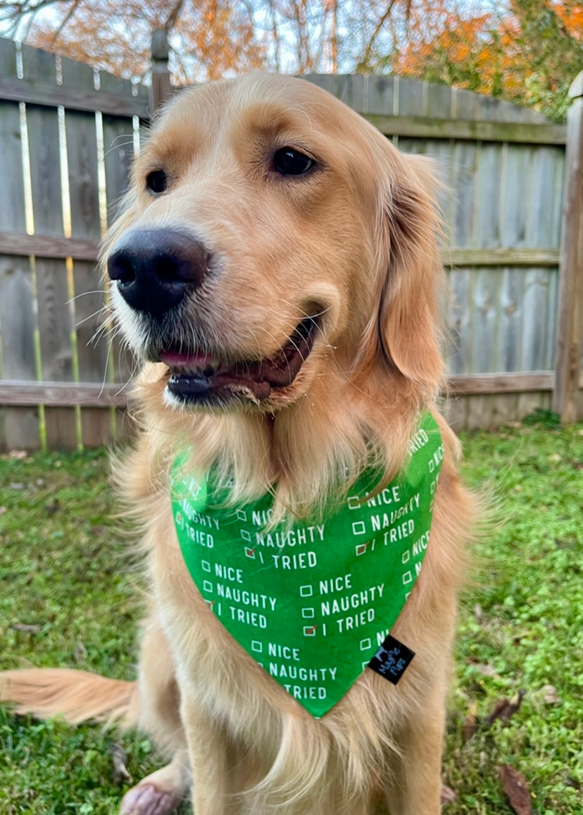 I Tried Christmas Dog Bandana