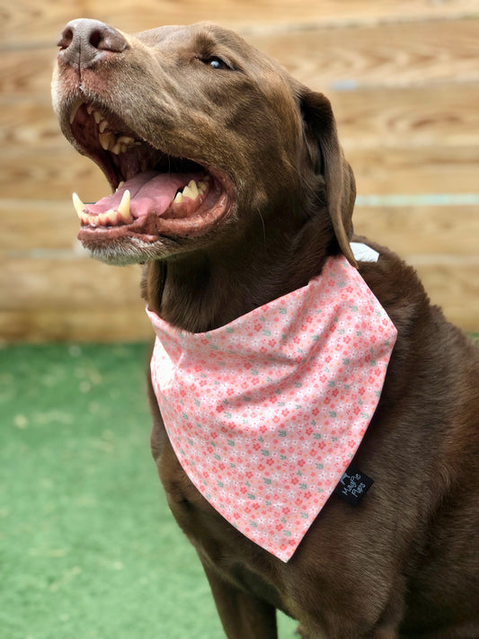 Blush Pink Floral Bandana