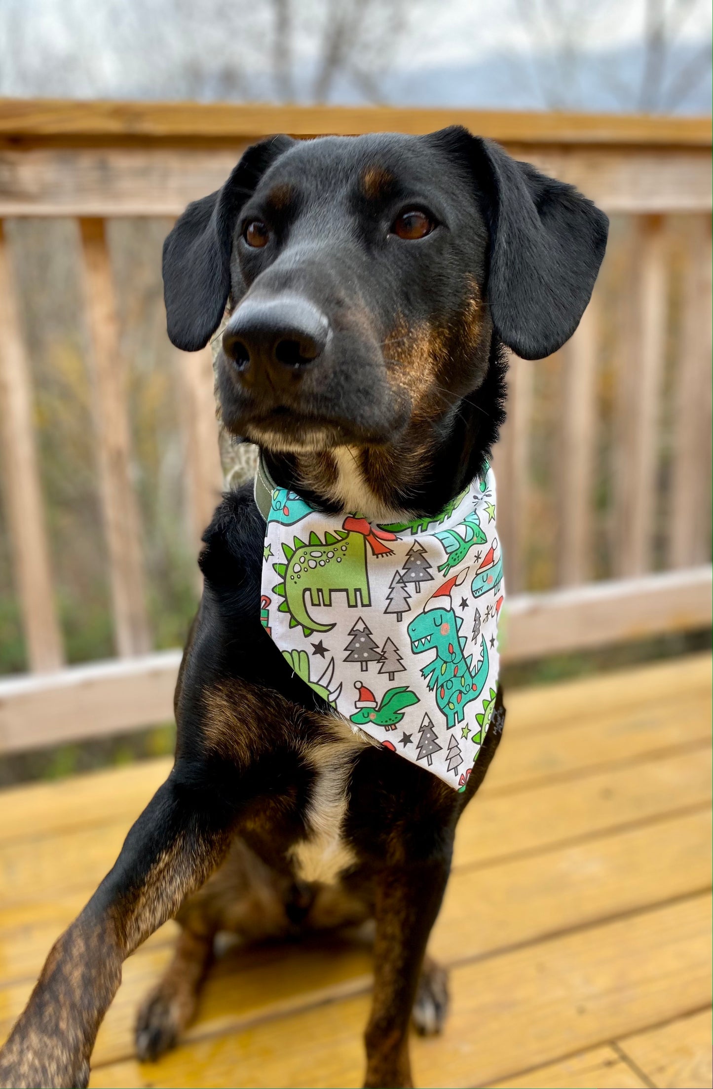 Christmas Dinosaurs Dog Bandana