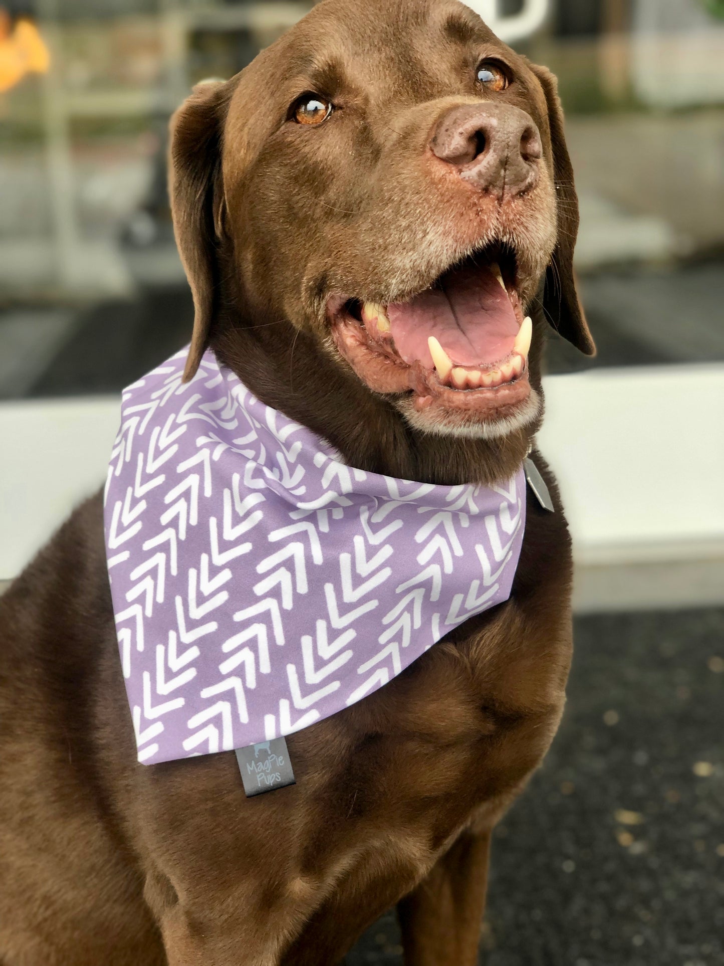 Lavender Boho Arrows Bandana