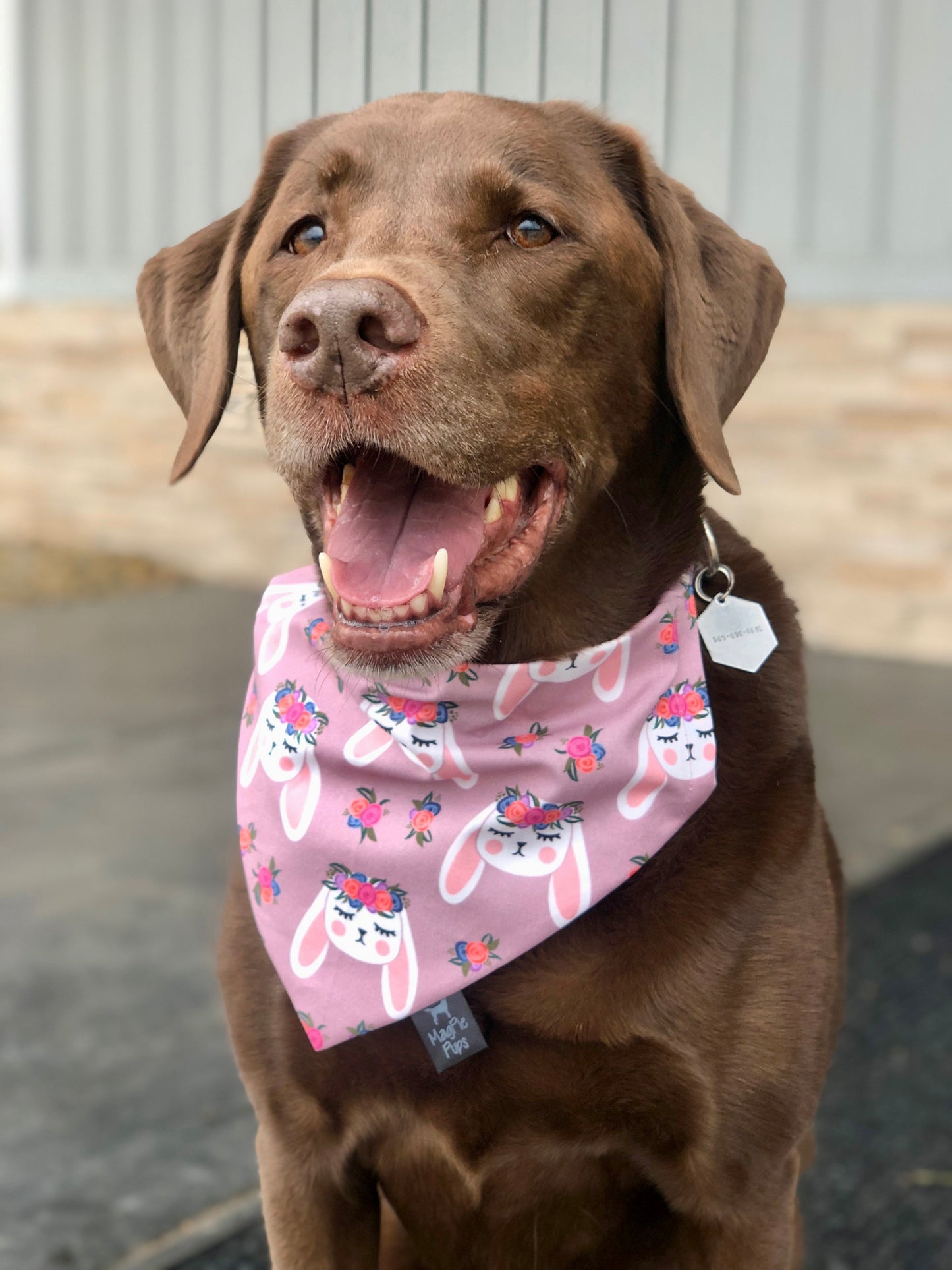 Boho Easter Bunnies Bandana