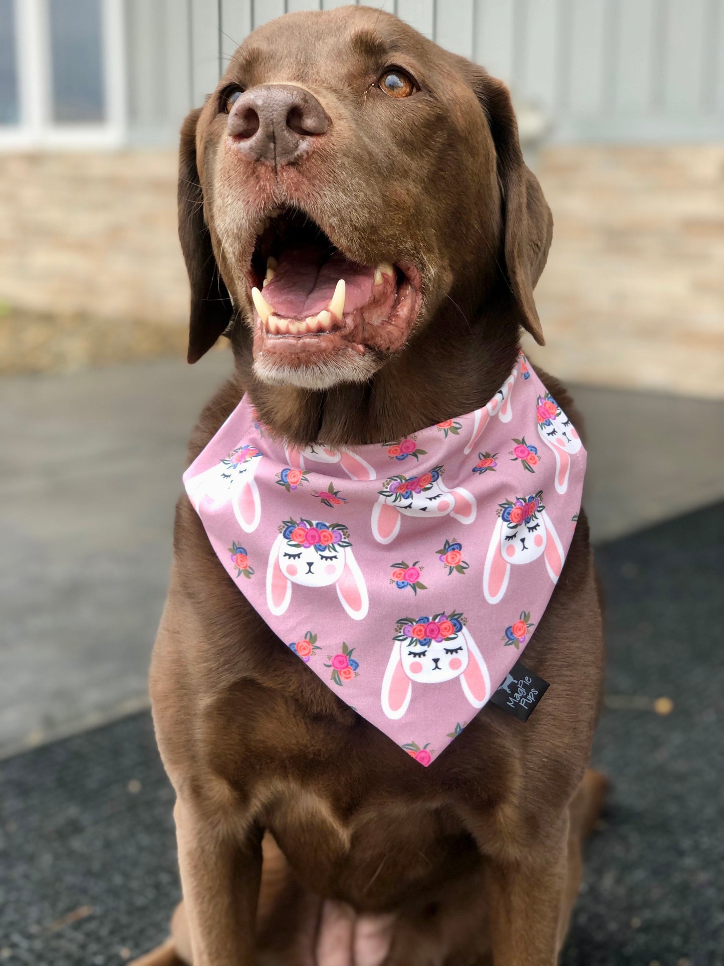 Boho Easter Bunnies Bandana