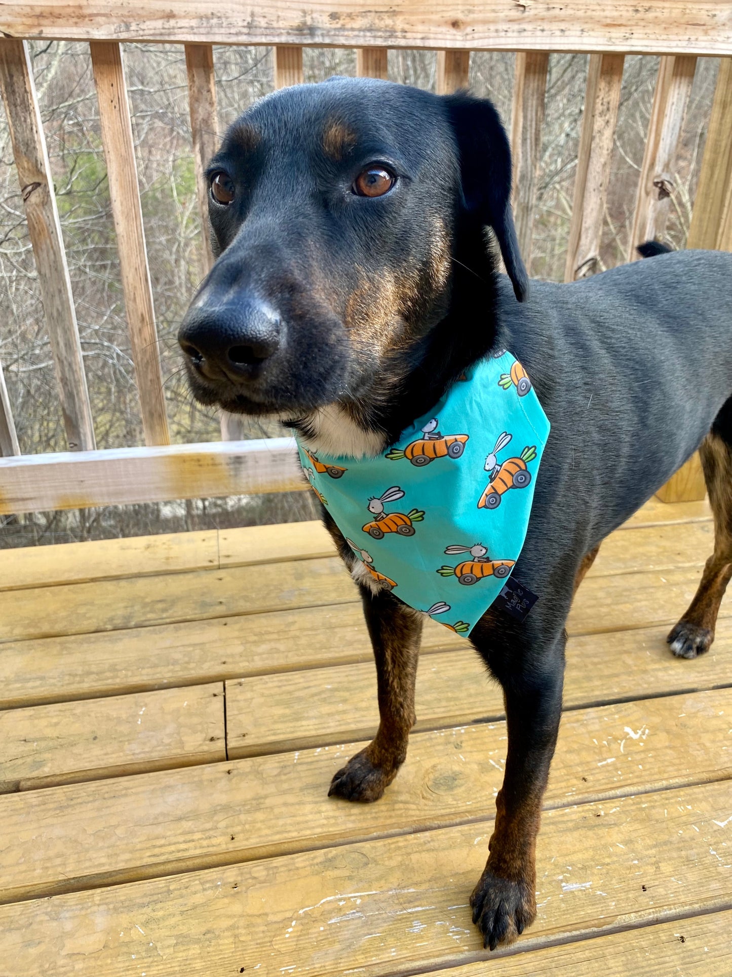 Easter Race Cars Bandana