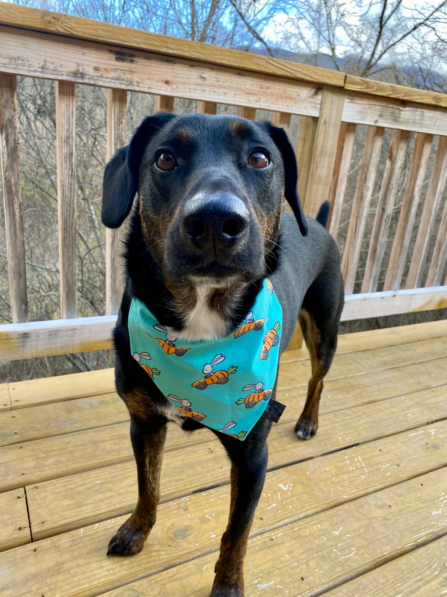 Easter Race Cars Bandana