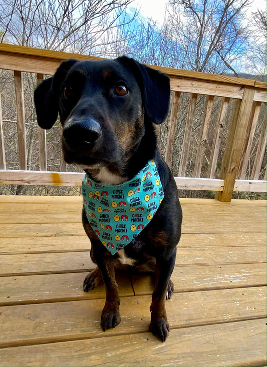 Chick Magnet Bandana