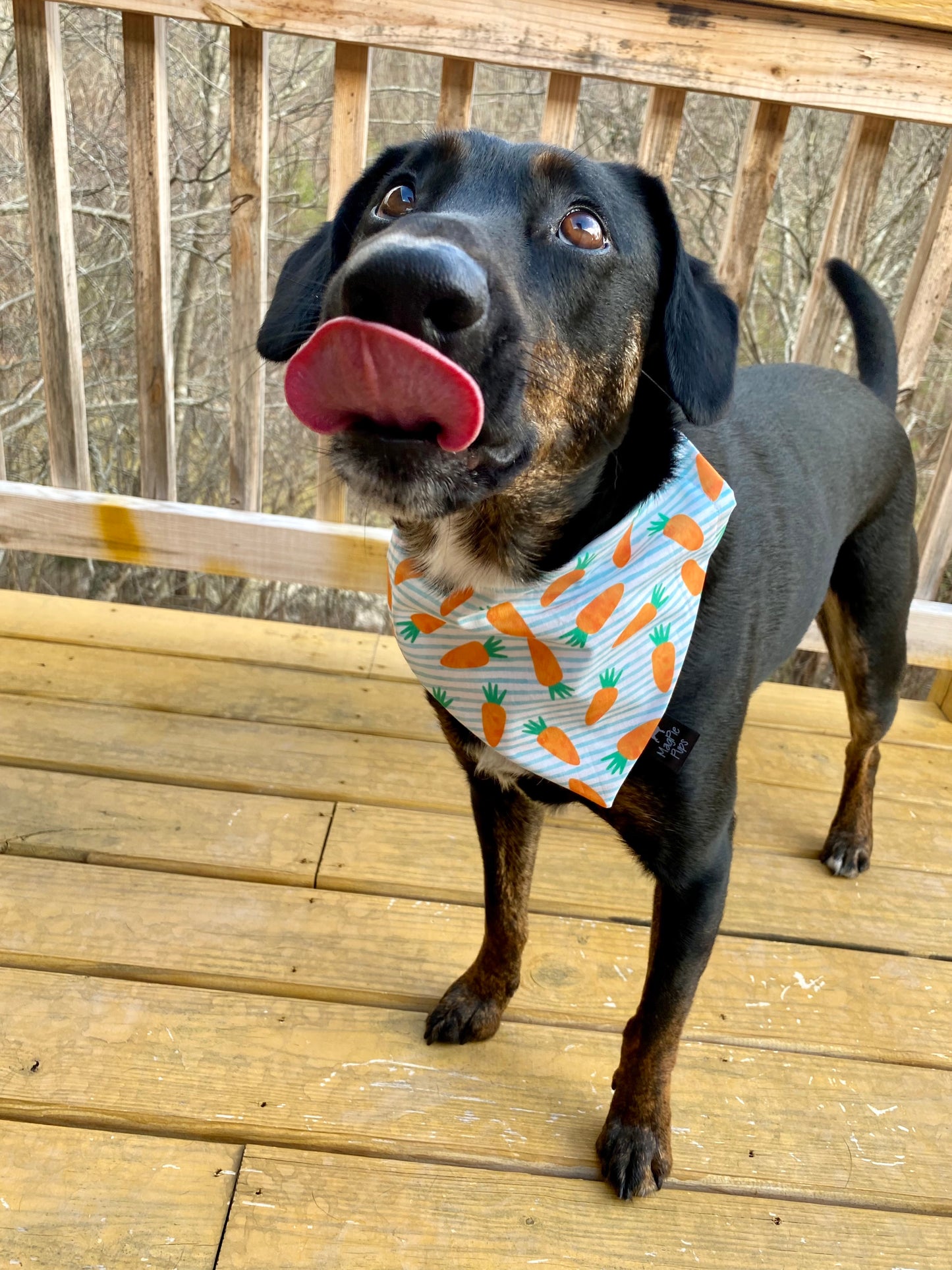 Easter Carrots Bandana