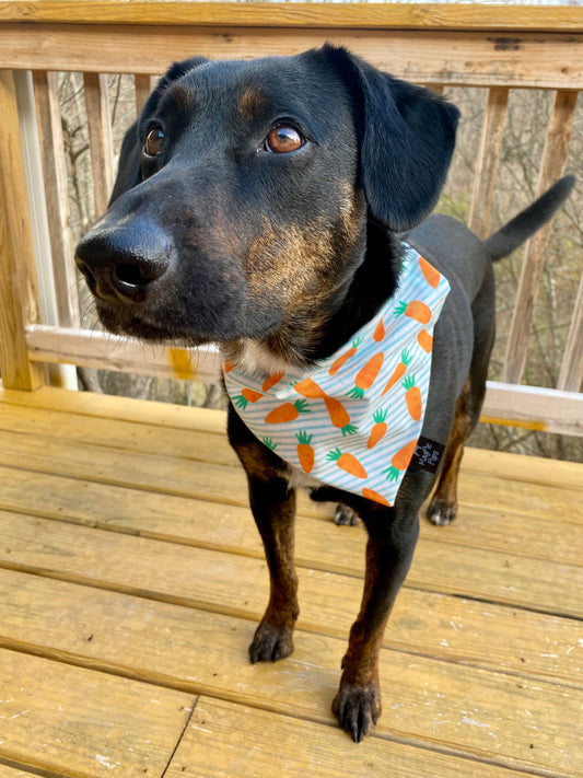 Easter Carrots Bandana