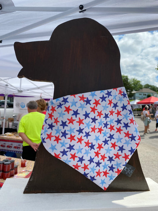 Red White and Blue Rainbows and Stars Bandana