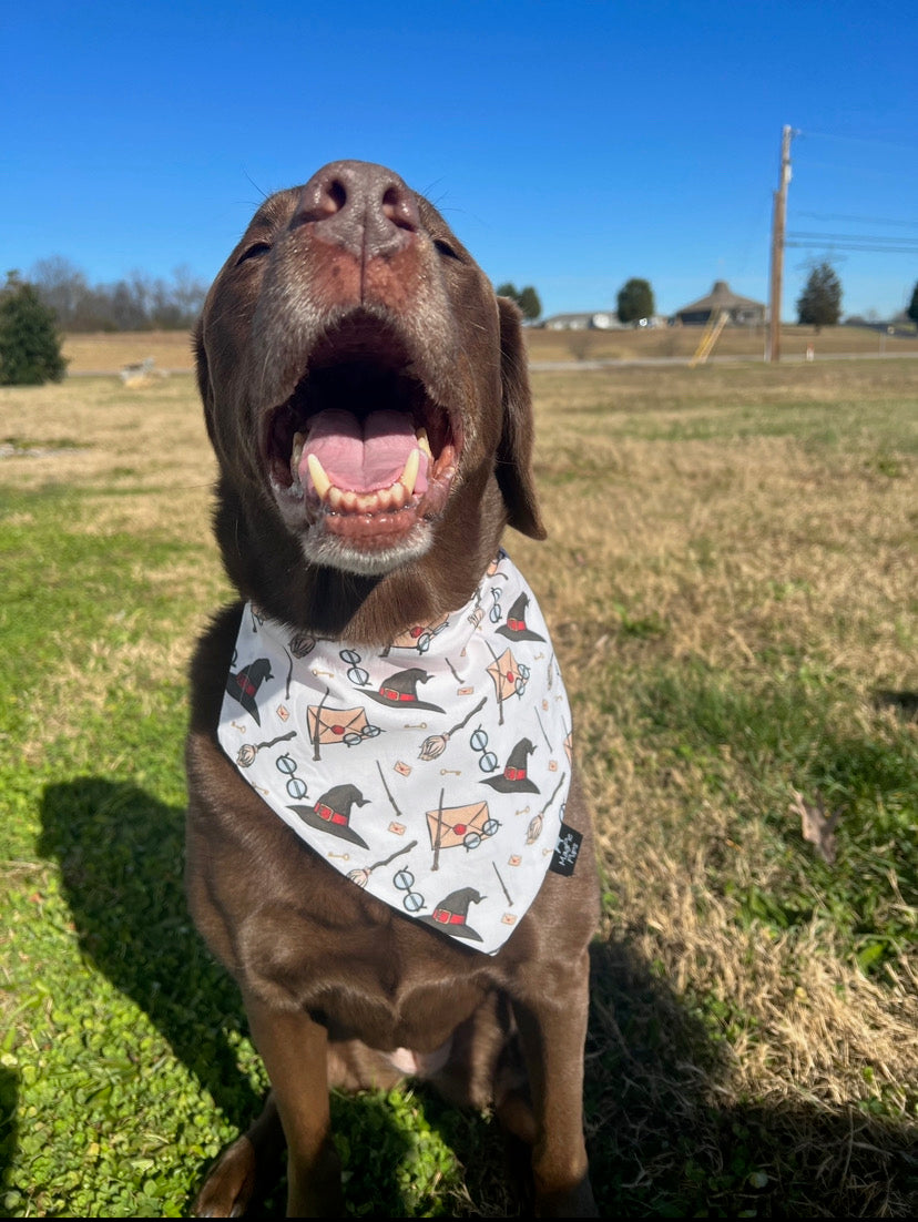 Harry Potter Bandana