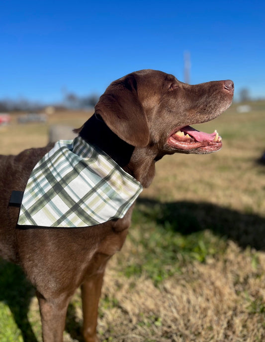 Green Plaid Christmas Bandana