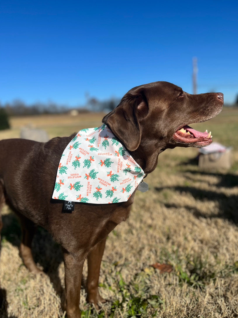 Mistletoe Kisses Bandana