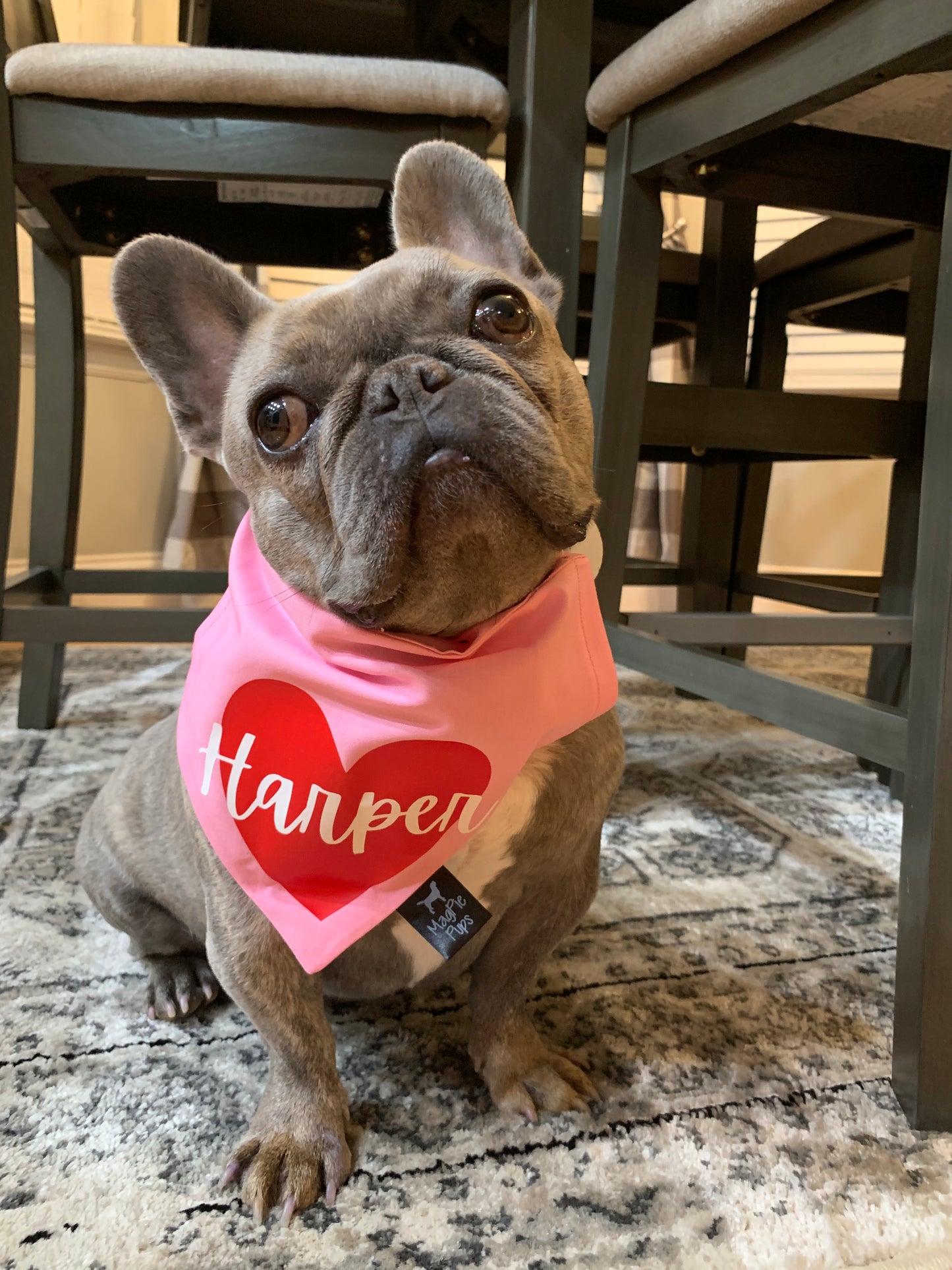 Custom Valentine's Heart Dog Bandana